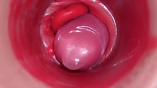 Inside a Camgirl Cervix POV Camera down Vagina with big dick toy